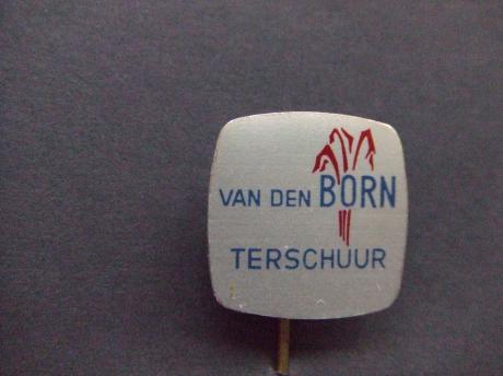 Terschuur vd Born Papier